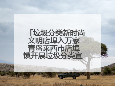 垃圾分类新时尚 文明店埠入万家 青岛莱西市店埠镇开展垃圾分类宣传活动