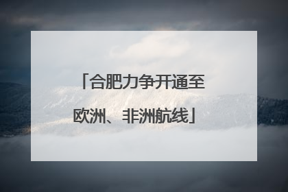 合肥力争开通至欧洲、非洲航线