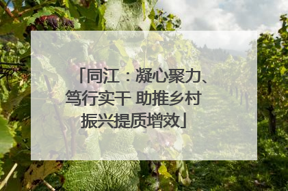 同江：凝心聚力、笃行实干 助推乡村振兴提质增效