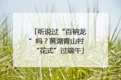 听说过“百衲龙”吗？黄湖青山村“花式”过端午