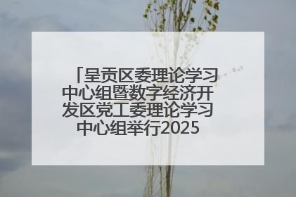 呈贡区委理论学习中心组暨数字经济开发区党工委理论学习中心组举行2025年第七次学习会议