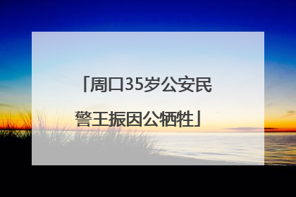周口35岁公安民警王振因公牺牲
