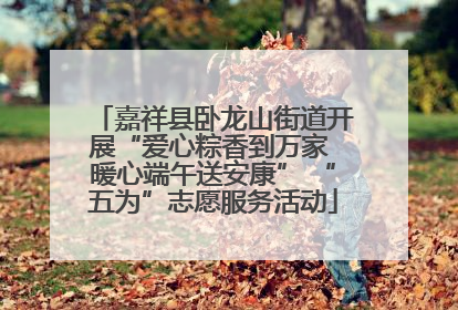 嘉祥县卧龙山街道开展“爱心粽香到万家 暖心端午送安康” “五为”志愿服务活动