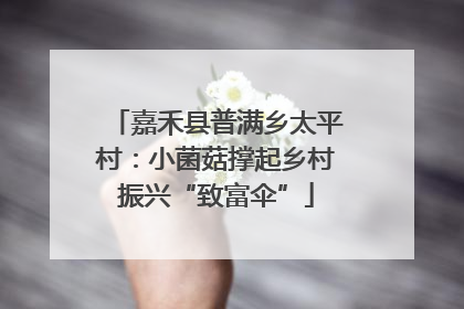 嘉禾县普满乡太平村：小菌菇撑起乡村振兴“致富伞”