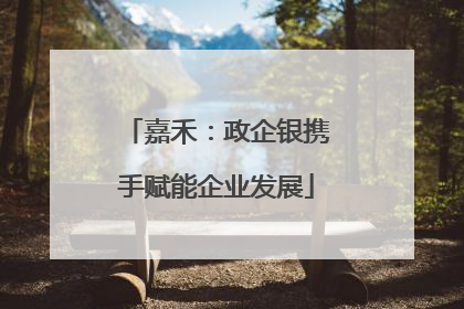 嘉禾：政企银携手赋能企业发展