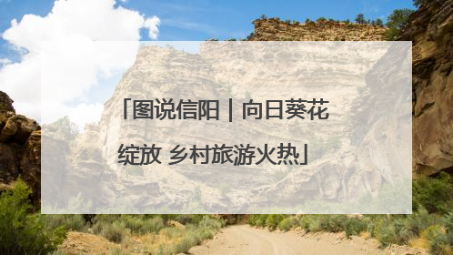 图说信阳｜向日葵花绽放 乡村旅游火热