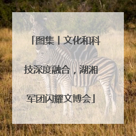 图集丨文化和科技深度融合，湖湘军团闪耀文博会