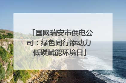 国网瑞安市供电公司：绿色同行添动力 低碳赋能环境日