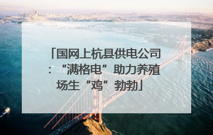 国网上杭县供电公司：“满格电”助力养殖场生“鸡”勃勃