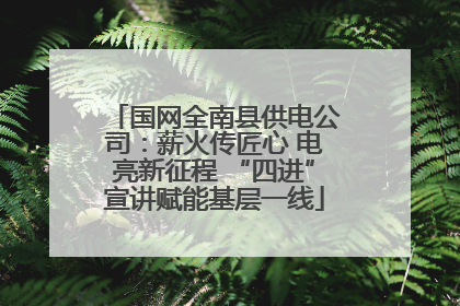 国网全南县供电公司：薪火传匠心 电亮新征程 “四进”宣讲赋能基层一线