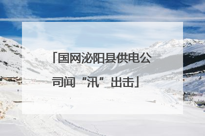 国网泌阳县供电公司闻“汛”出击