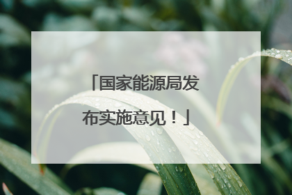 国家能源局发布实施意见！