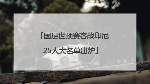国足世预赛客战印尼25人大名单出炉