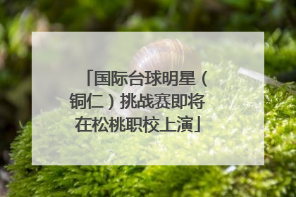 国际台球明星（铜仁）挑战赛即将在松桃职校上演