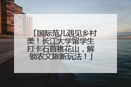 国际范儿遇见乡村美！长江大学留学生打卡石首桃花山，解锁农文旅新玩法！