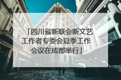 四川省新联会新文艺工作者专委会夏季工作会议在成都举行
