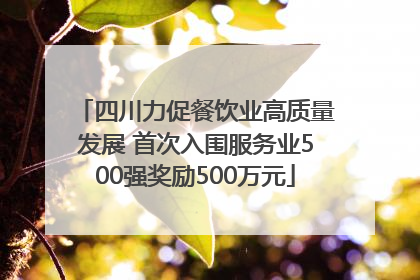 四川力促餐饮业高质量发展 首次入围服务业500强奖励500万元