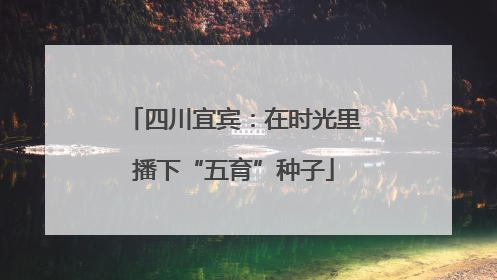 四川宜宾：在时光里播下“五育”种子