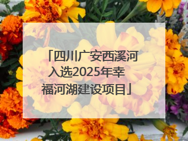 四川广安西溪河入选2025年幸福河湖建设项目