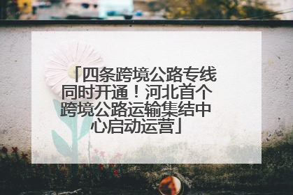 四条跨境公路专线同时开通！河北首个跨境公路运输集结中心启动运营