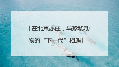 在北京亦庄，与珍稀动物的“下一代”相遇