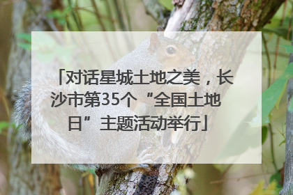 对话星城土地之美，长沙市第35个“全国土地日”主题活动举行