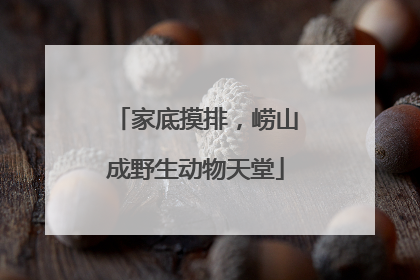 家底摸排，崂山成野生动物天堂