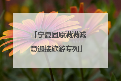 宁夏固原满满诚意迎接旅游专列