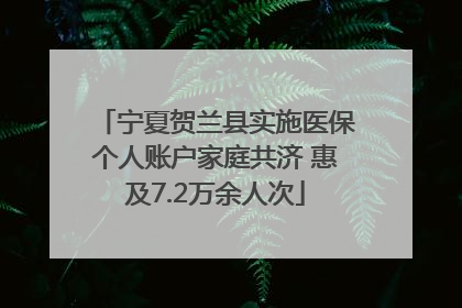 宁夏贺兰县实施医保个人账户家庭共济 惠及7.2万余人次