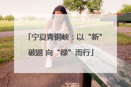 宁夏青铜峡：以“新”破题 向“绿”而行
