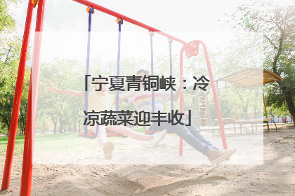 宁夏青铜峡：冷凉蔬菜迎丰收