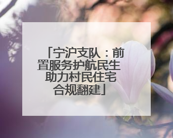 宁沪支队：前置服务护航民生 助力村民住宅合规翻建