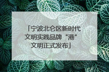 宁波北仑区新时代文明实践品牌“港”文明正式发布