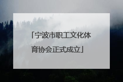 宁波市职工文化体育协会正式成立