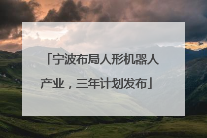 宁波布局人形机器人产业，三年计划发布