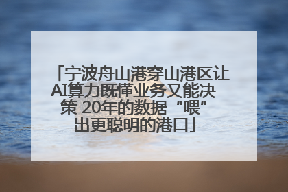宁波舟山港穿山港区让AI算力既懂业务又能决策 20年的数据“喂”出更聪明的港口