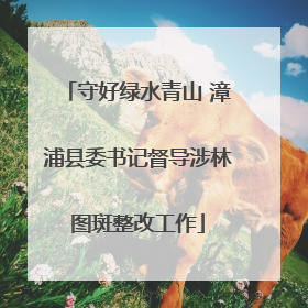 守好绿水青山 漳浦县委书记督导涉林图斑整改工作