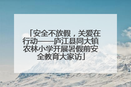 安全不放假，关爱在行动——庐江县同大镇农林小学开展暑假前安全教育大家访