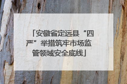 安徽省定远县“四严”举措筑牢市场监管领域安全底线
