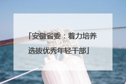 安徽省委：着力培养选拔优秀年轻干部