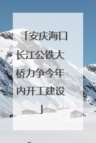 安庆海口长江公铁大桥力争今年内开工建设