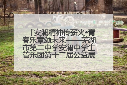安澜精神传薪火•青春乐章颂未来——芜湖市第二中学安澜中学生管乐团第十二届公益展演圆满举行