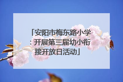 安阳市梅东路小学：开展第三届幼小衔接开放日活动