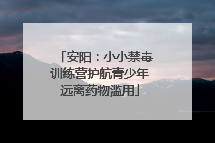 安阳：小小禁毒训练营护航青少年远离药物滥用