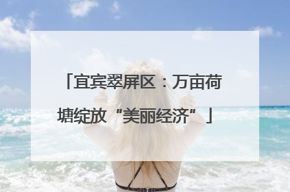 宜宾翠屏区：万亩荷塘绽放“美丽经济”