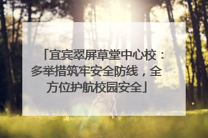 宜宾翠屏草堂中心校：多举措筑牢安全防线，全方位护航校园安全