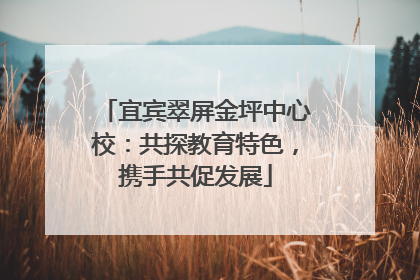 宜宾翠屏金坪中心校：共探教育特色，携手共促发展
