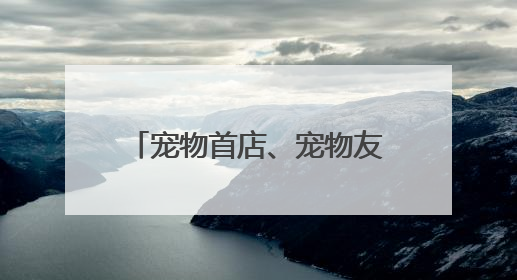 宠物首店、宠物友好商场、宠物航班……“它经济”激活普陀消费新潜能