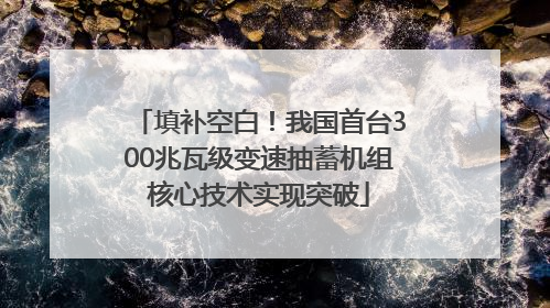 填补空白！我国首台300兆瓦级变速抽蓄机组核心技术实现突破