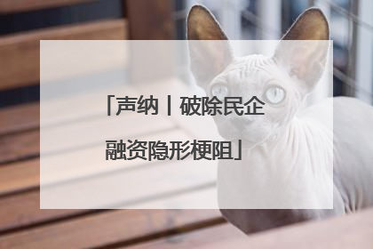 声纳丨破除民企融资隐形梗阻